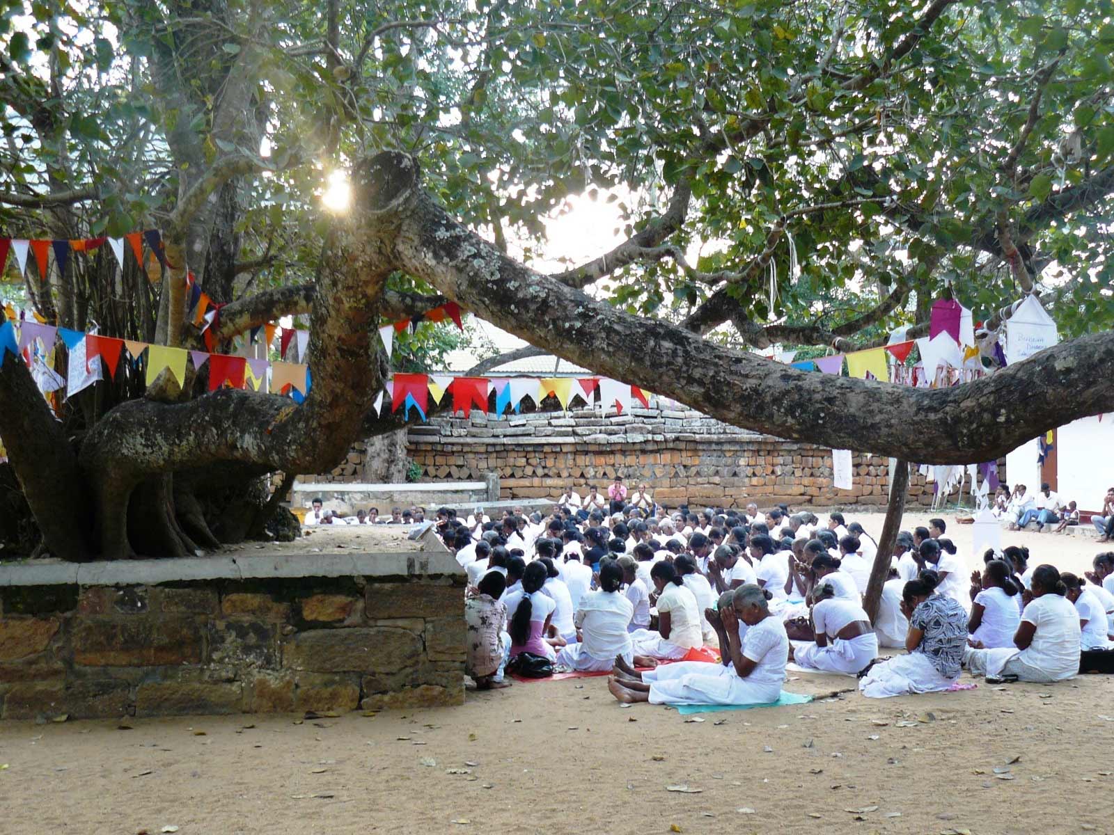 rondreis sri lanka anuradhapura 9