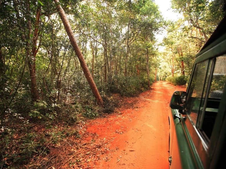 Hoogtepunten | Rama Tours