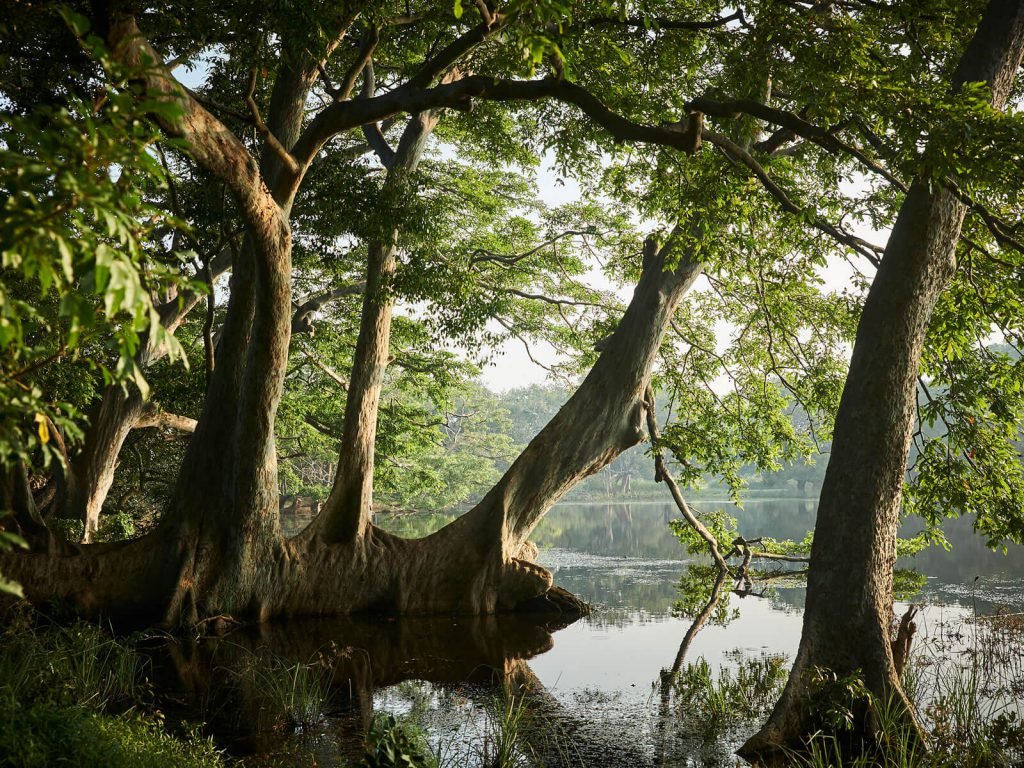 Hoogtepunten | Rama Tours