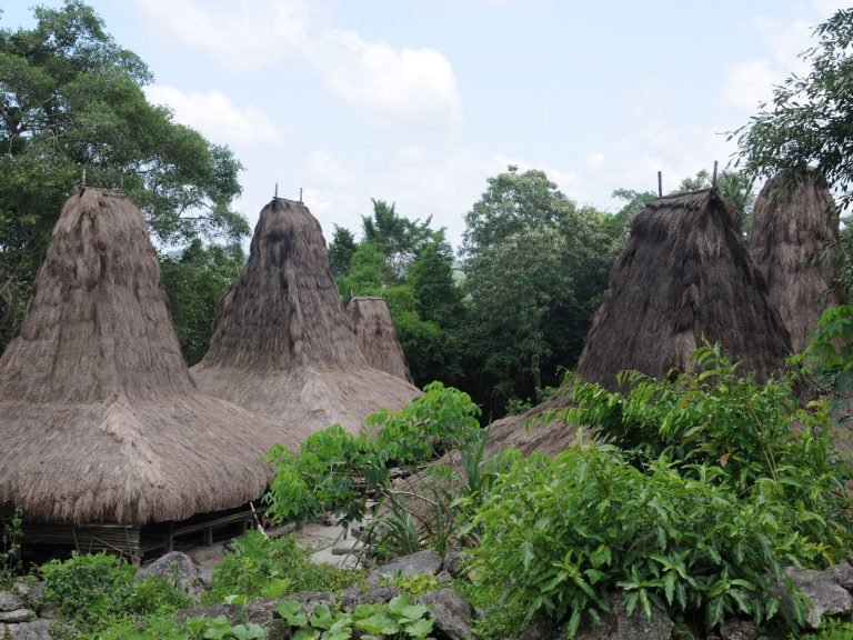 Hoogtepunten | Rama Tours