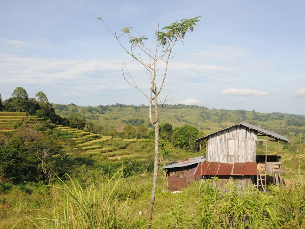 Flores, Denge, Homestay Denge | Rama Tours