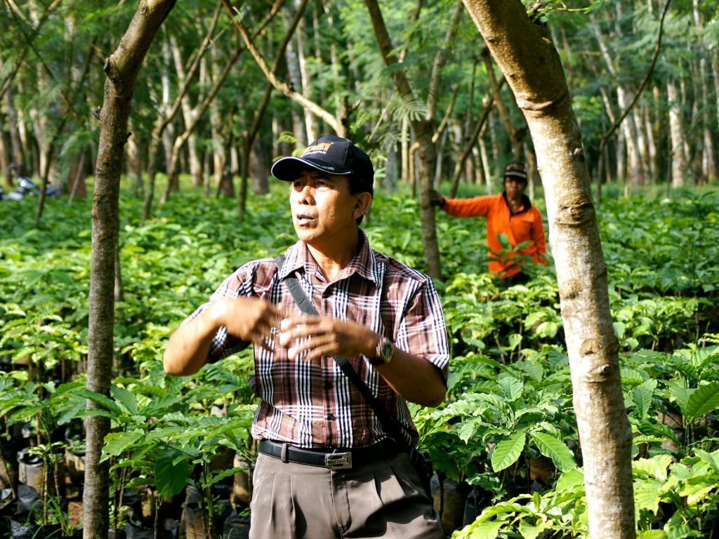 Hoogtepunten | Rama Tours