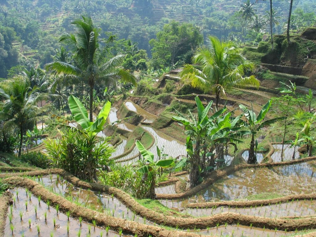 Hoogtepunten | Rama Tours