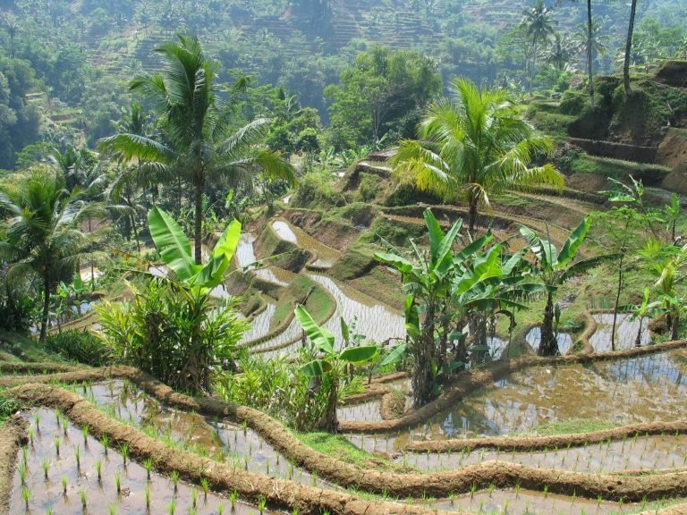 Hoogtepunten | Rama Tours