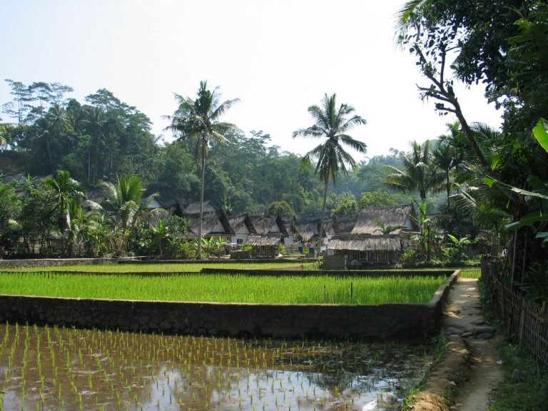Hoogtepunten | Rama Tours