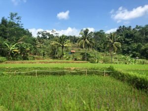 rondreis java treinreizen hoogtepunt 5