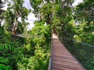 rondreis maleisie sabah gaya island bunga raya resort 4