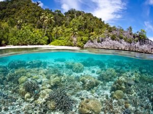 rondreis papua raja ampat hoogtepunt 11
