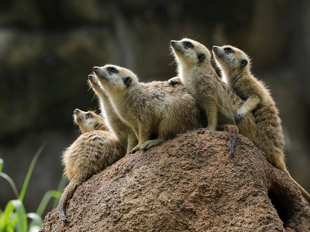 Hoogtepunten | Rama Tours