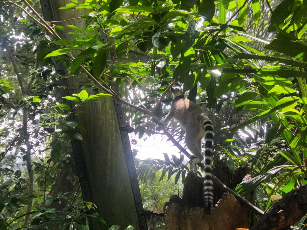 Hoogtepunten | Rama Tours