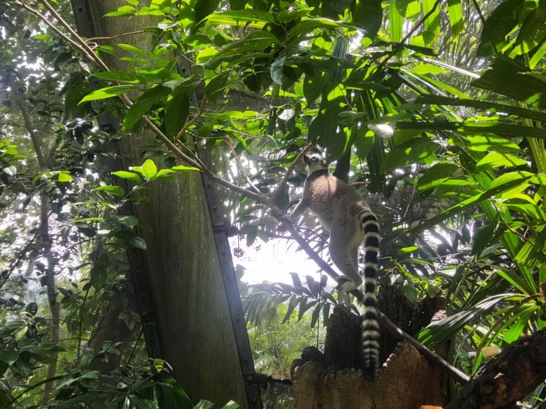 Hoogtepunten | Rama Tours
