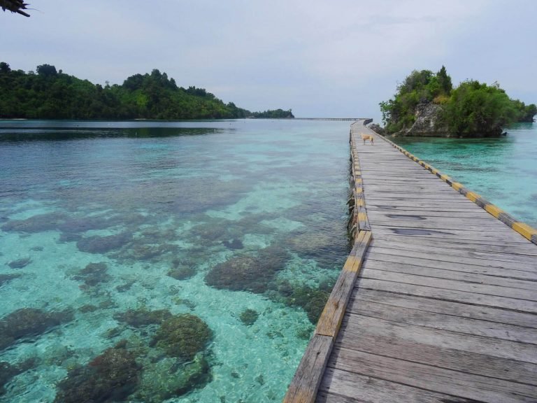 Hoogtepunten | Rama Tours