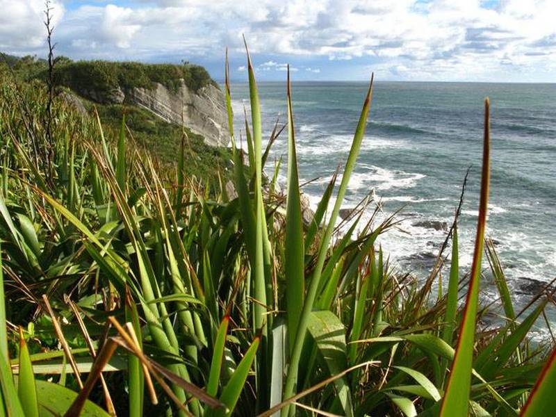 Greymouth, Breakers boutique hotel | Rama Tours