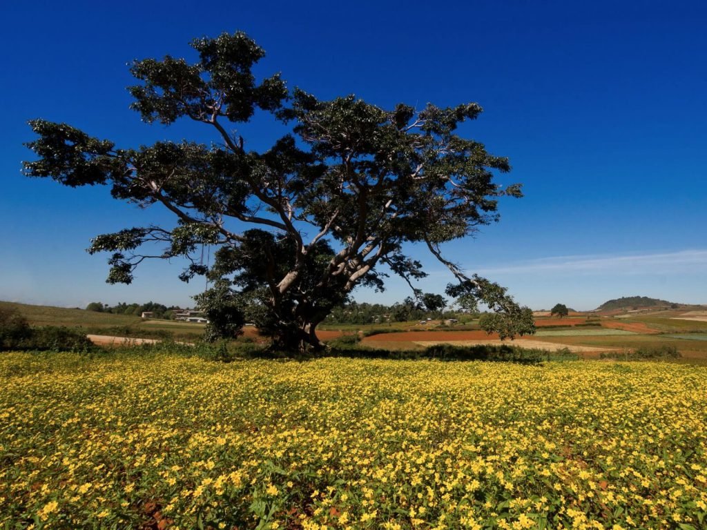 Hoogtepunten | Rama Tours