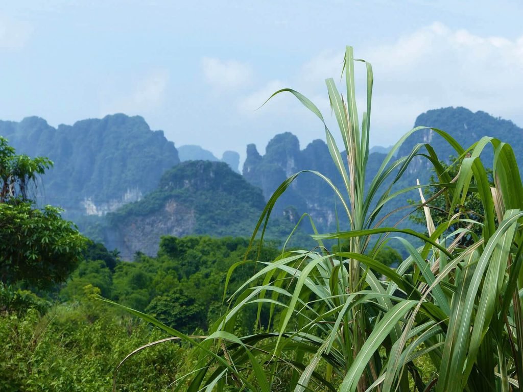 Hoogtepunten | Rama Tours