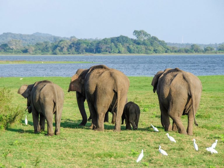 Hoogtepunten | Rama Tours