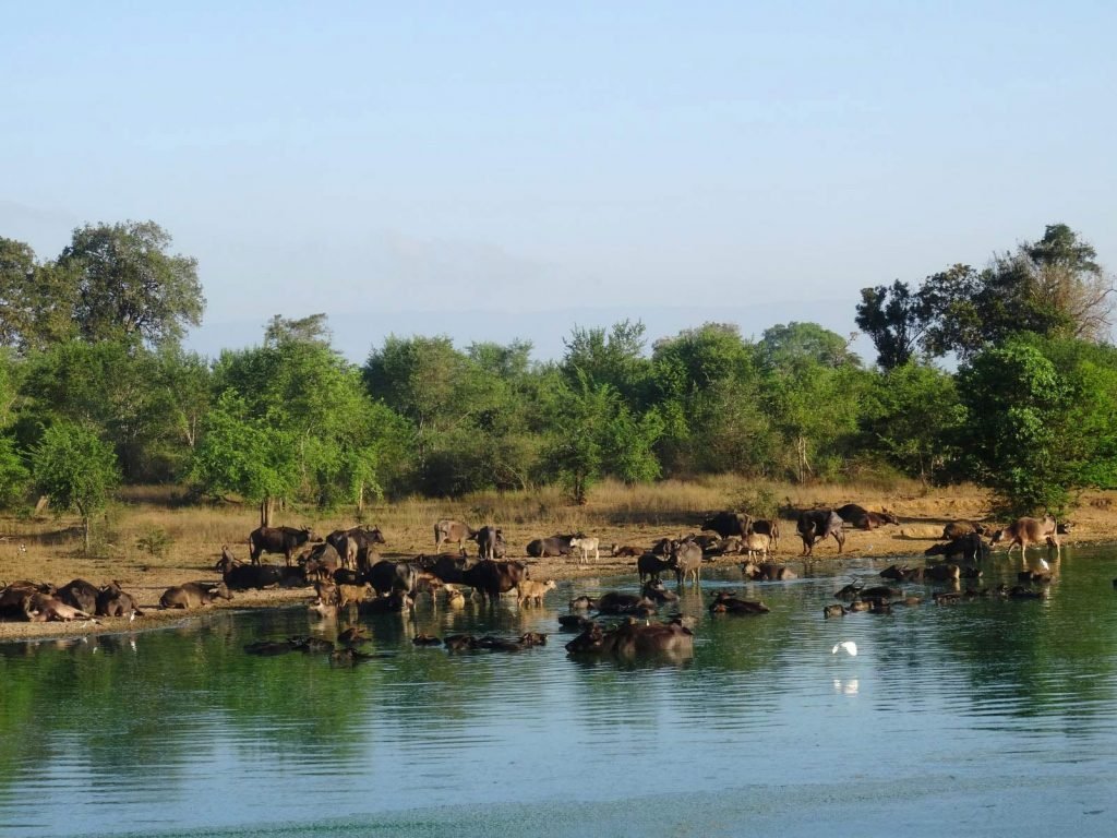 Hoogtepunten | Rama Tours
