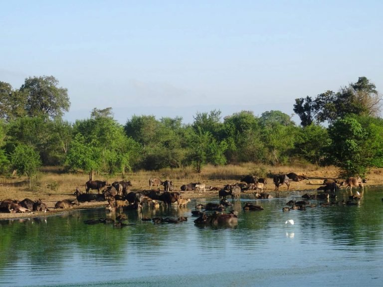 Hoogtepunten | Rama Tours