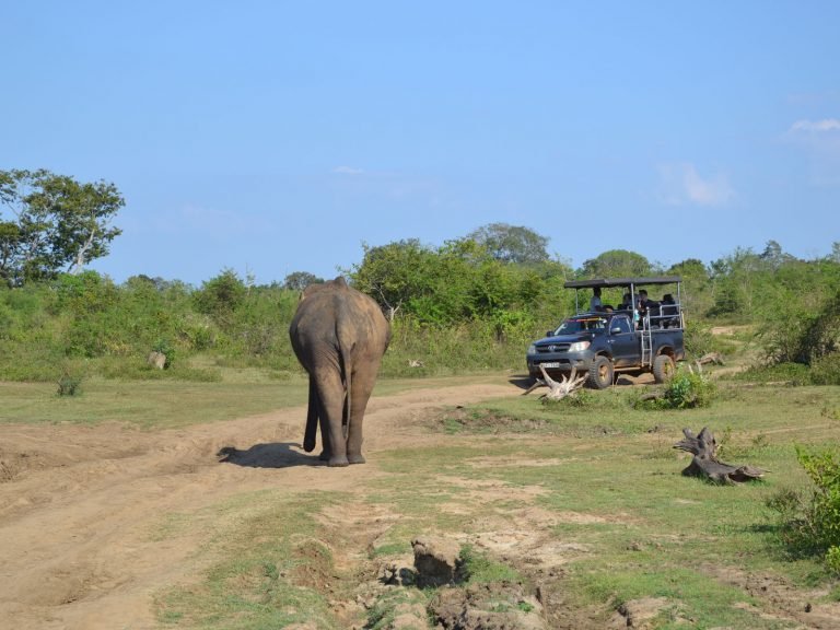 Hoogtepunten | Rama Tours