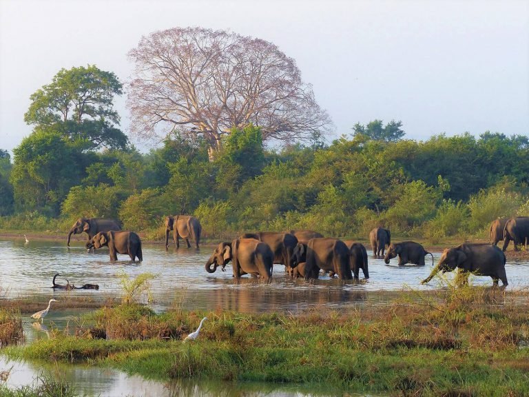 Hoogtepunten | Rama Tours