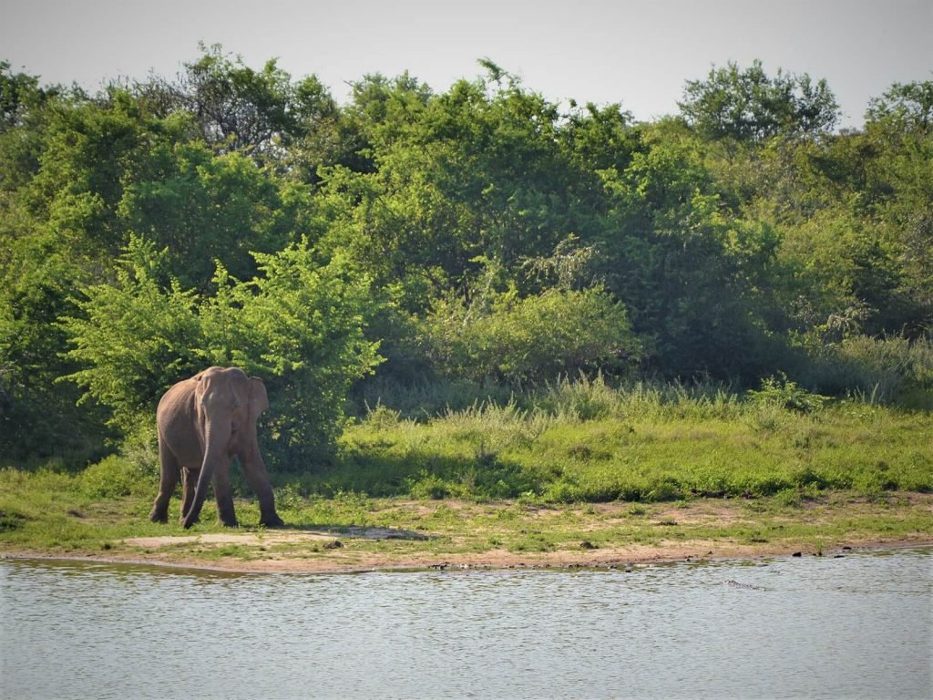 Hoogtepunten | Rama Tours