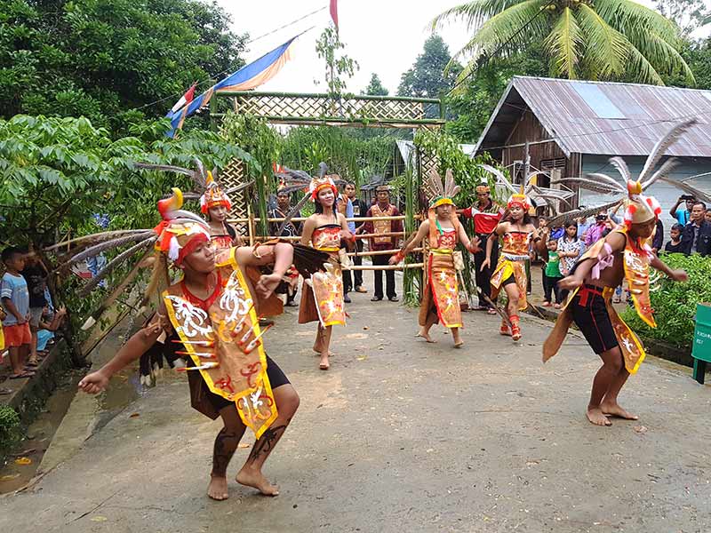 dayaks traditionele dans rondreis kalimantan
