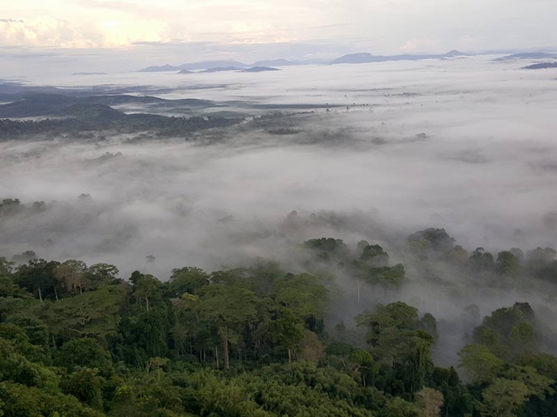 trekking bukit Bolau berg klaimantan reis rama tours