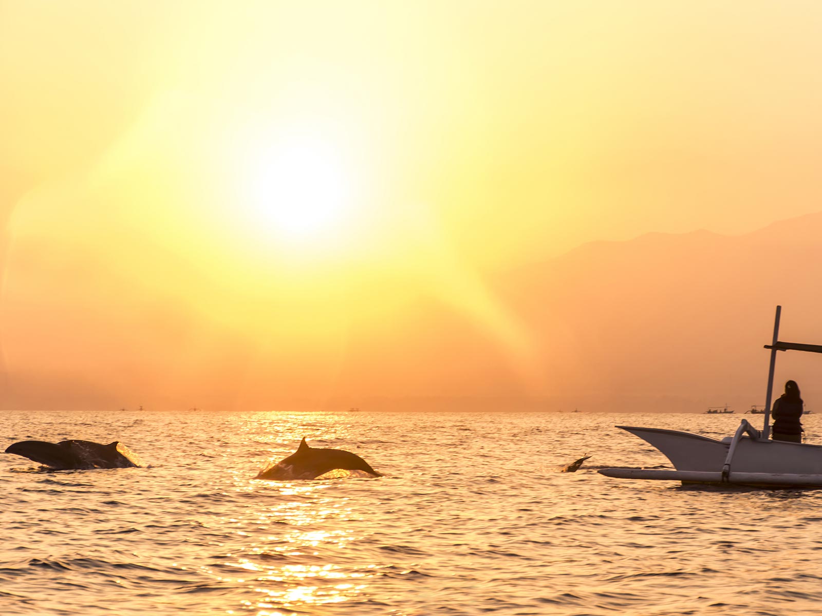 tips voor duurzaam toerisme dolfijnen lovina bali