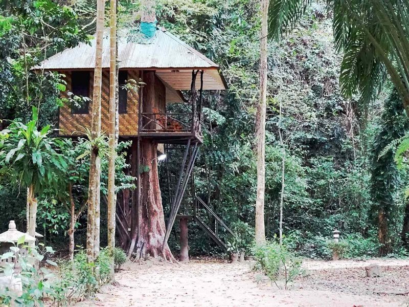 khao sok national park khao sok nature resort_de jungle van Zuid-Thailand