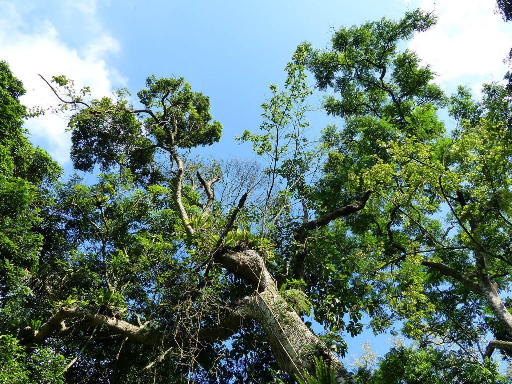 Hoogtepunten | Rama Tours