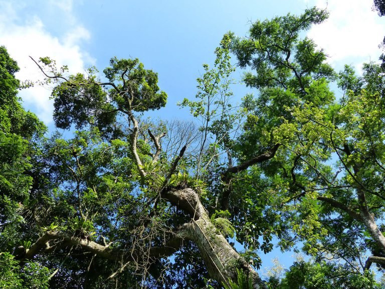 Hoogtepunten | Rama Tours