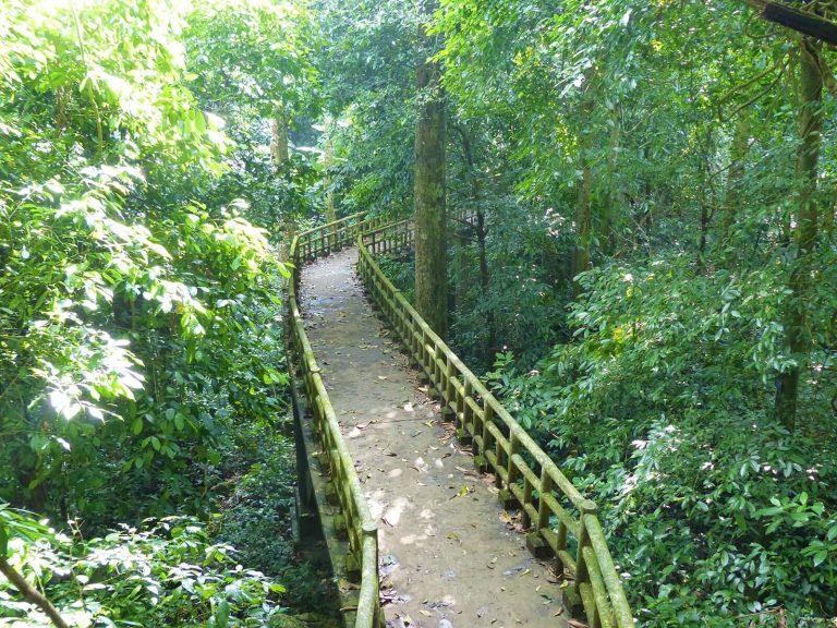 Hoogtepunten | Rama Tours