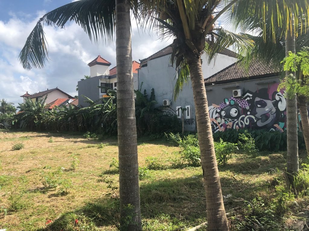Palmbomen in Canggu, Bali
