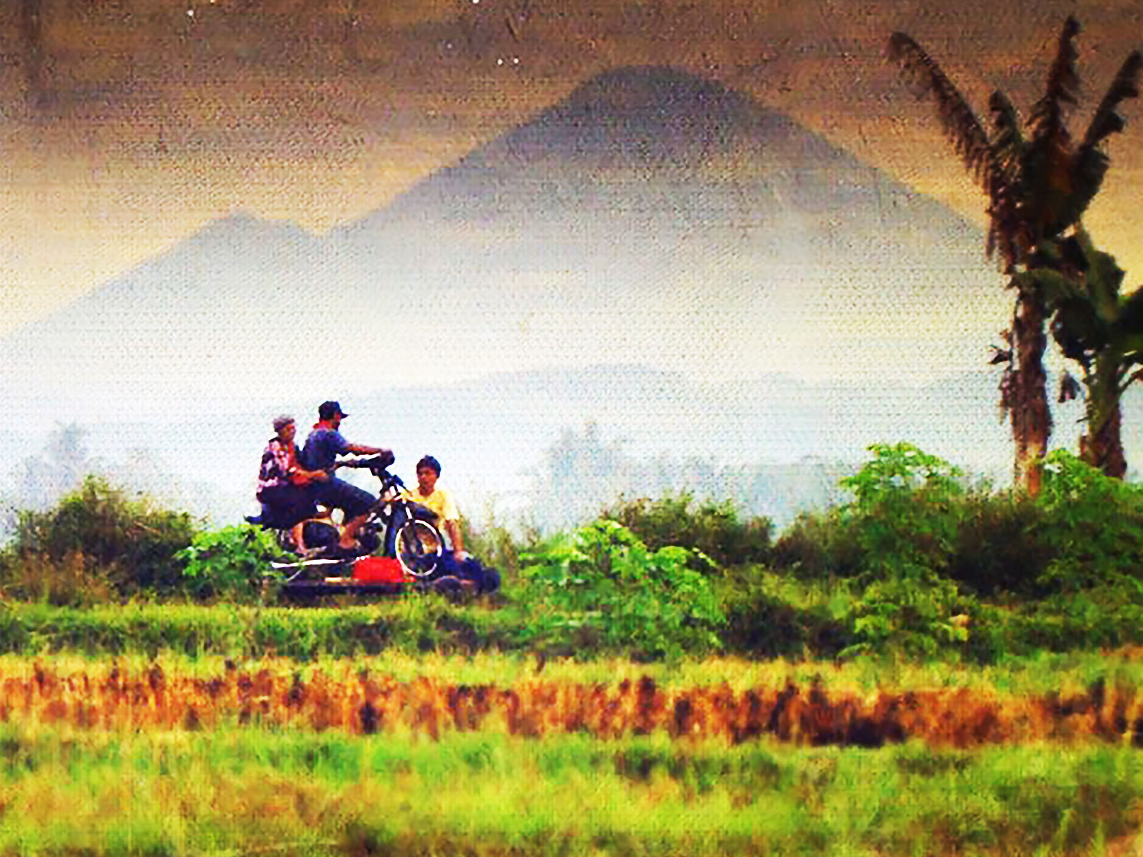 blog boeken- en filmtips indonesie stand van de sterren 1