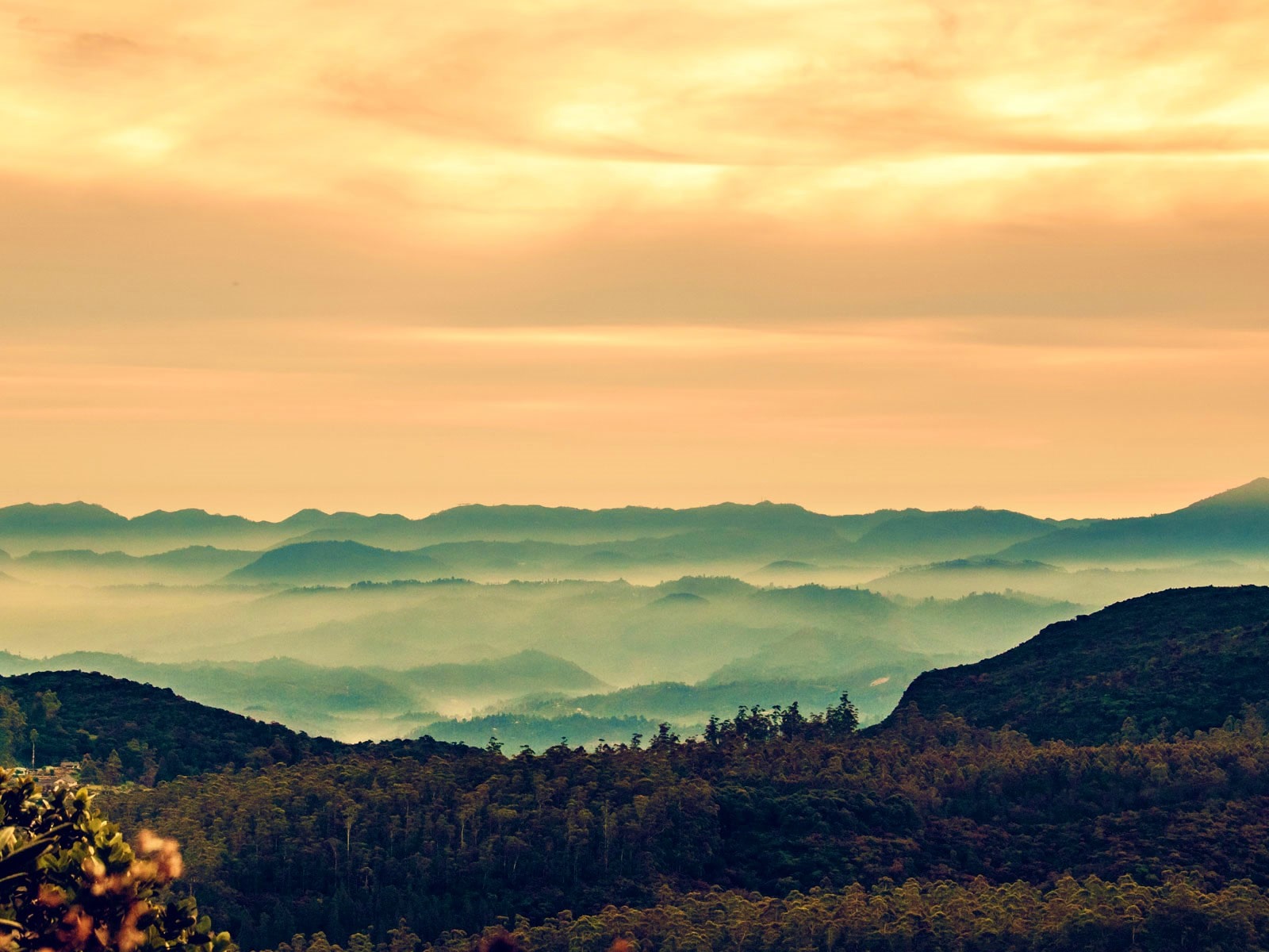 rondreis sri lanka centrale hooglanden blog