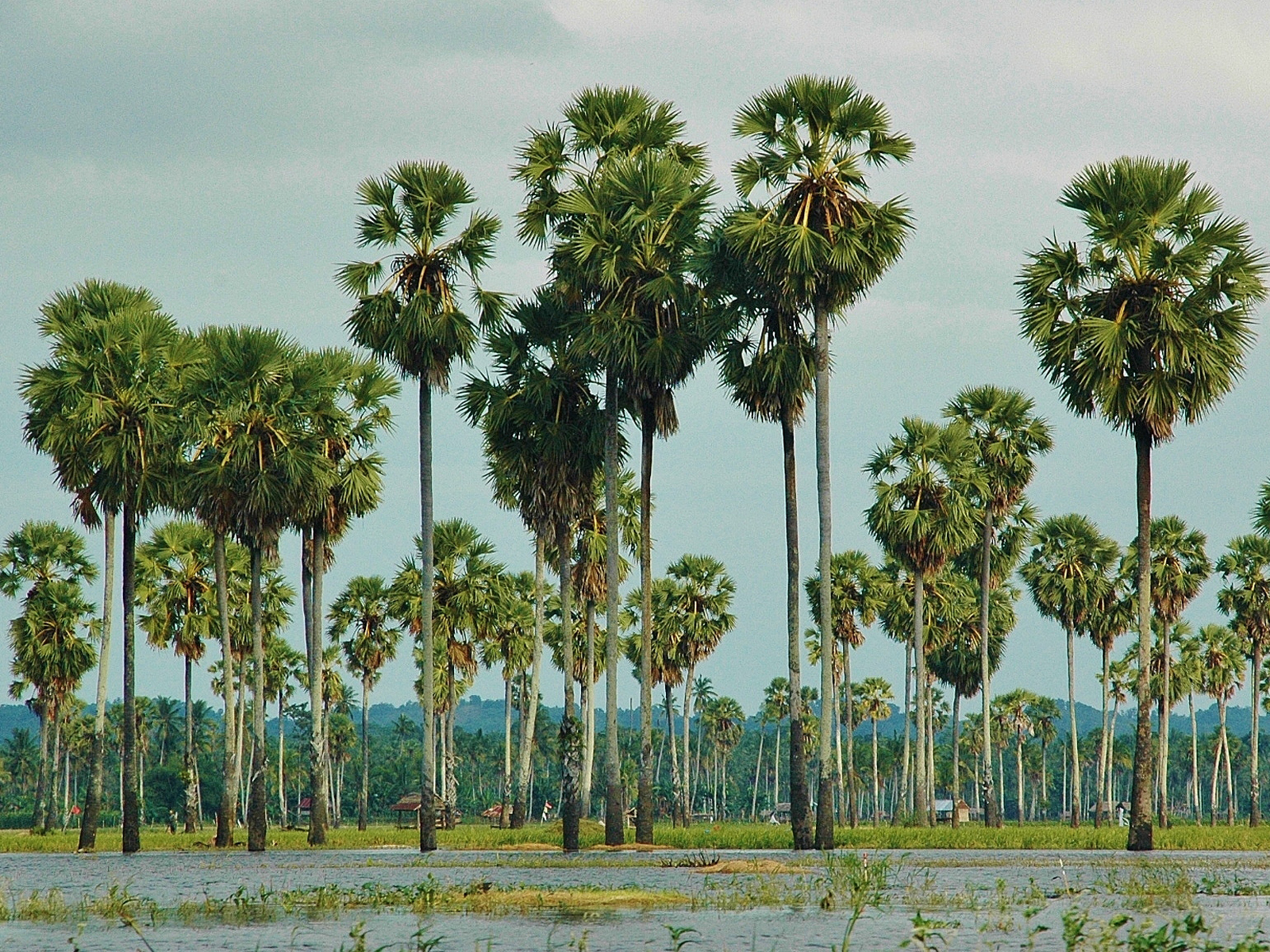 rondreis sulawesi blog foto 2