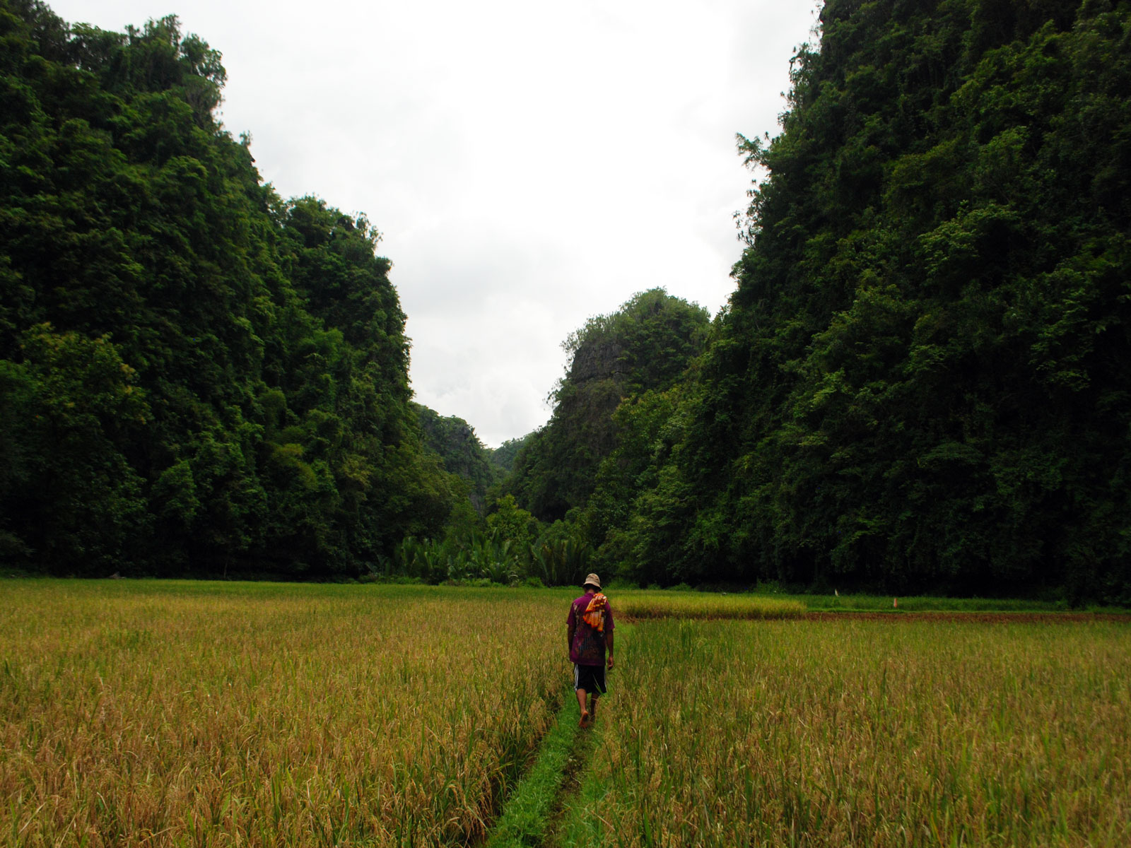 rondreis sulawesi rammang rammang blog 2