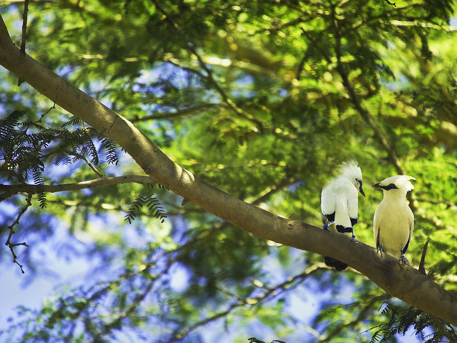 rondreis bali bali barat national park blog
