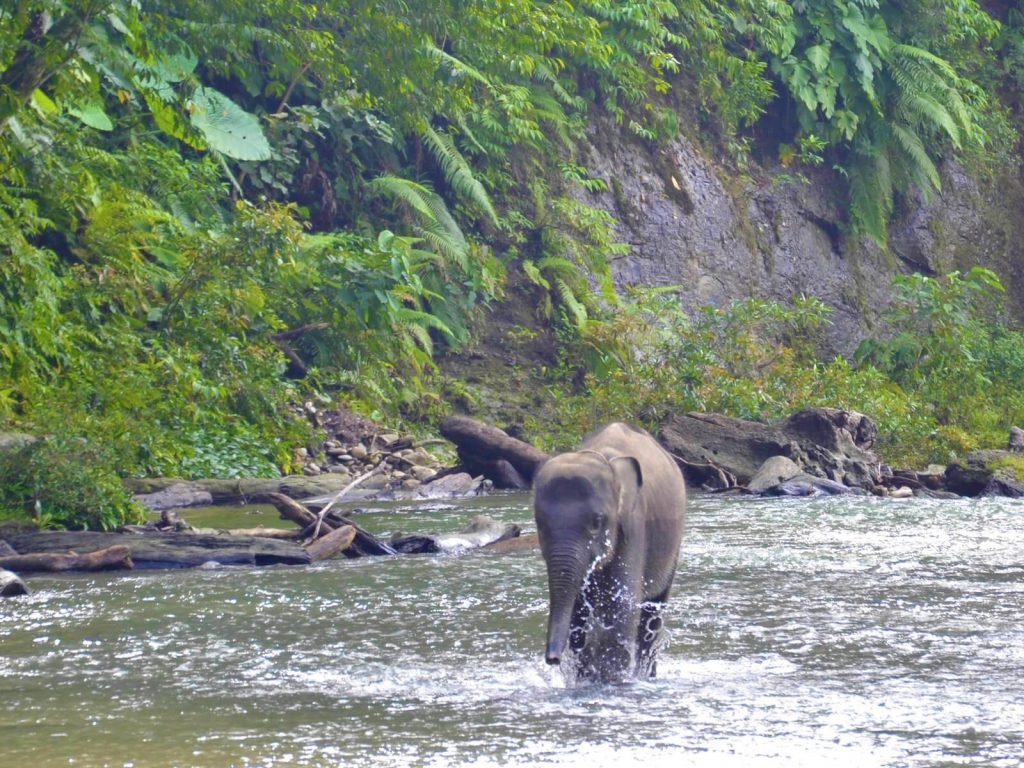 Hoogtepunten | Rama Tours