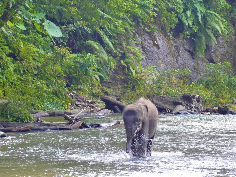 Hoogtepunten | Rama Tours