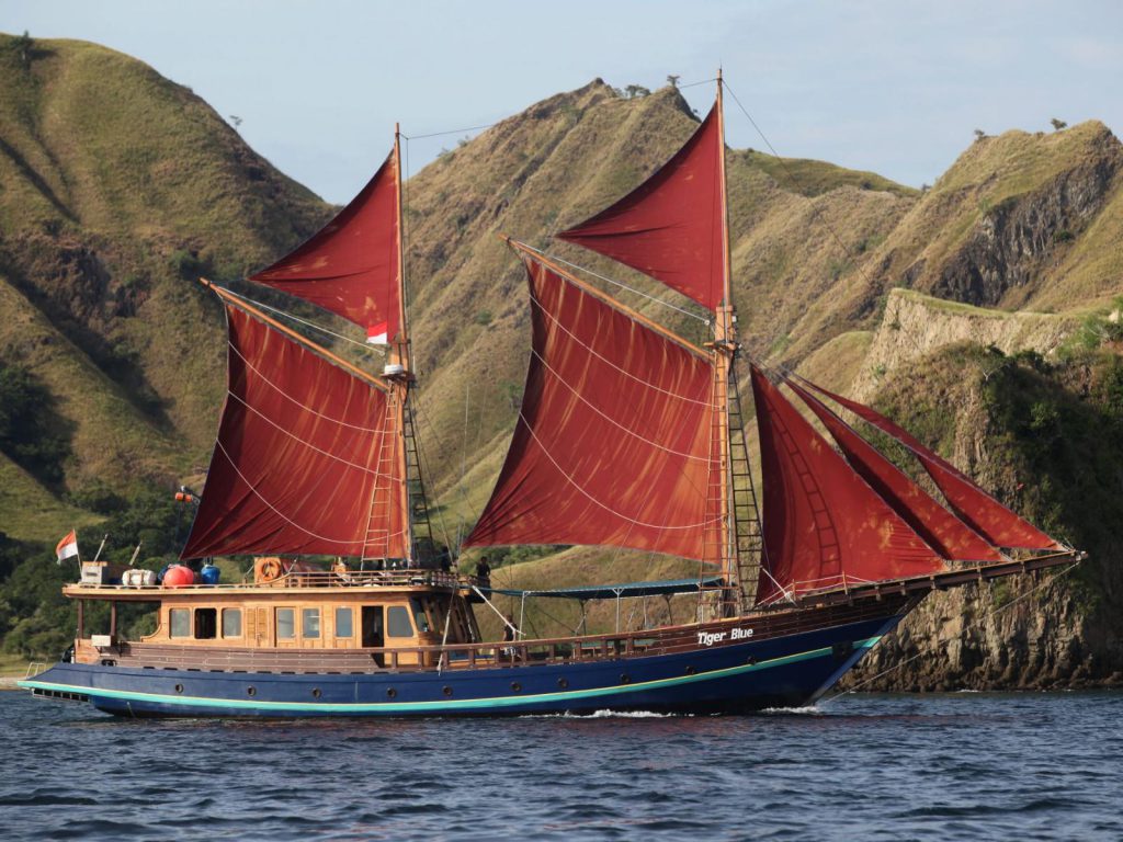 Liveaboard, Tiger Blue | Rama Tours