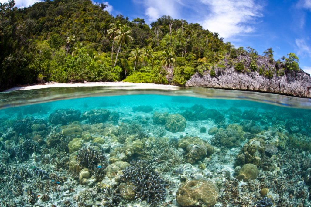 Privé: Papua onder de zeespiegel | Rama Tours Privé: Papua onder de zeespiegel | Rama Tours