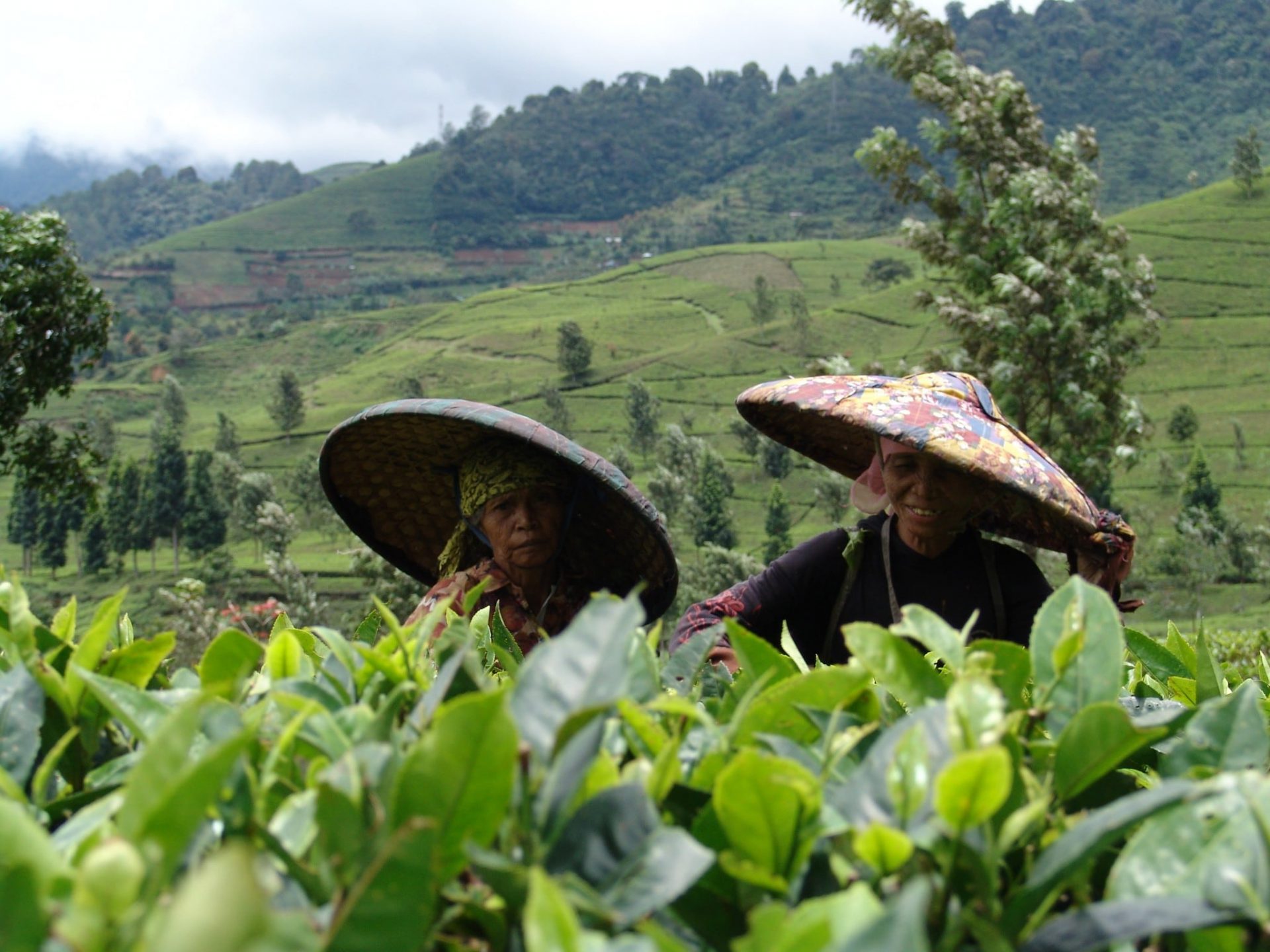 Indonesië