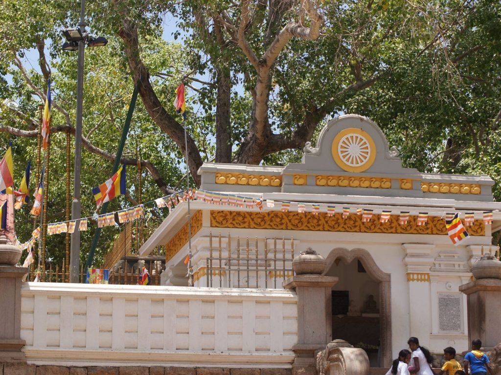 Hoogtepunten | Rama Tours