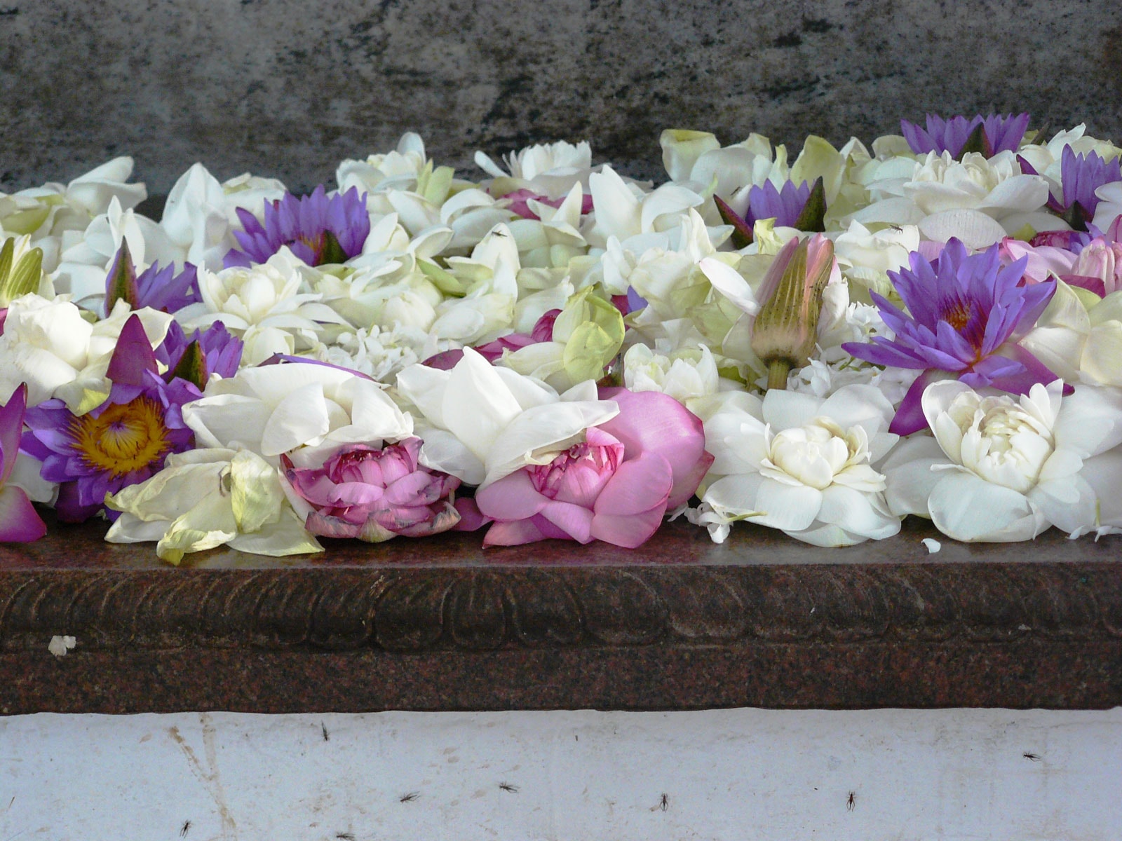 rondreis sri lanka anuradhapura hoogtepunt 7