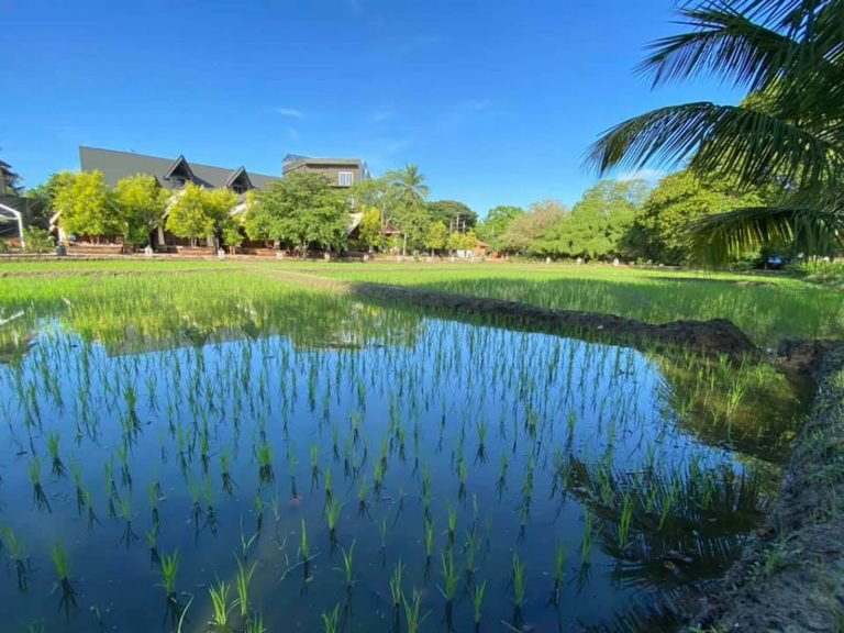 Hotels | Rama Tours