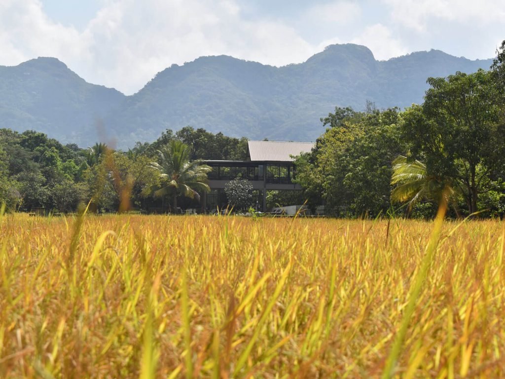 Hotels | Rama Tours