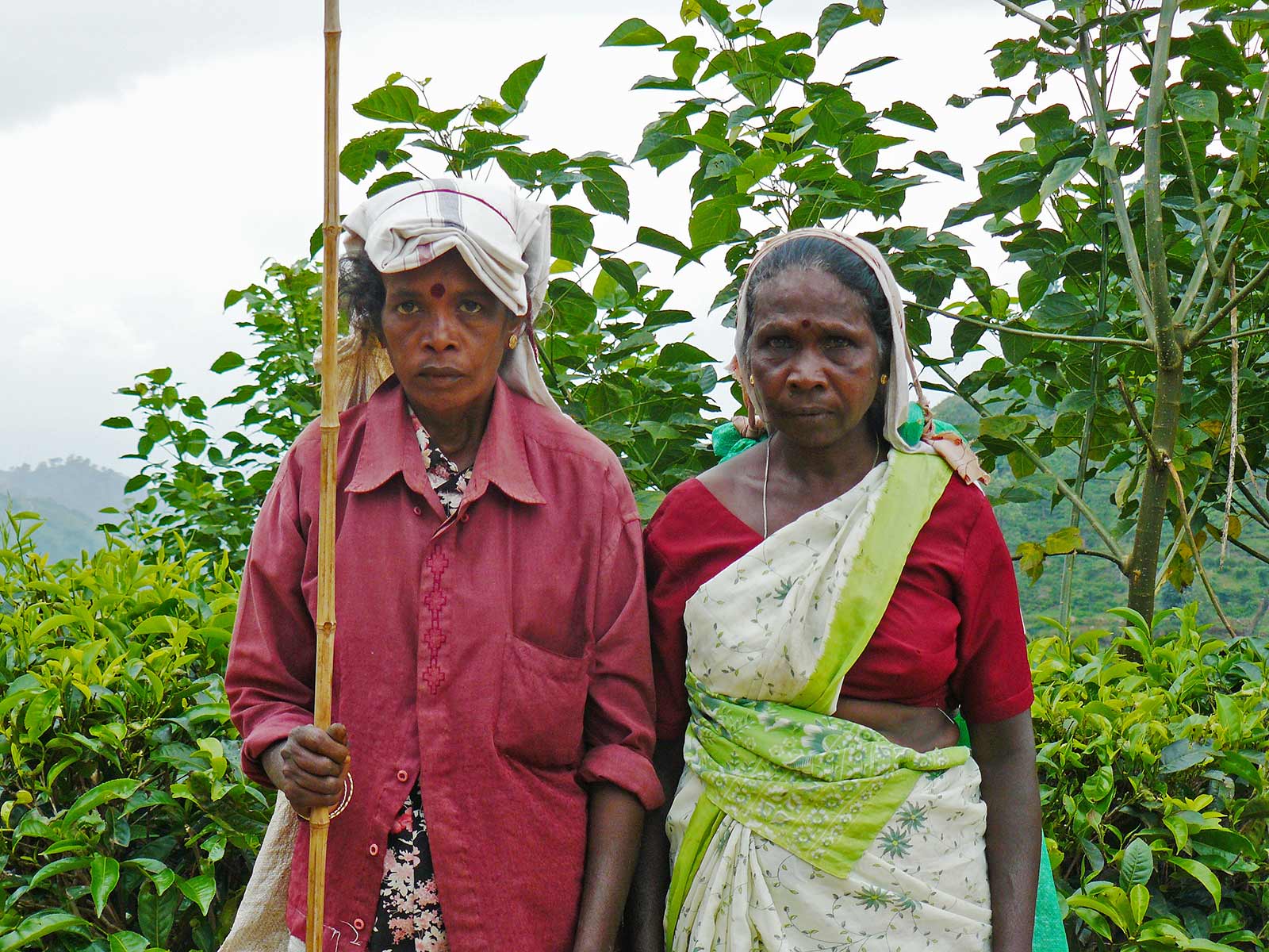 rondreis sri lanka ella hoogtepunt 2