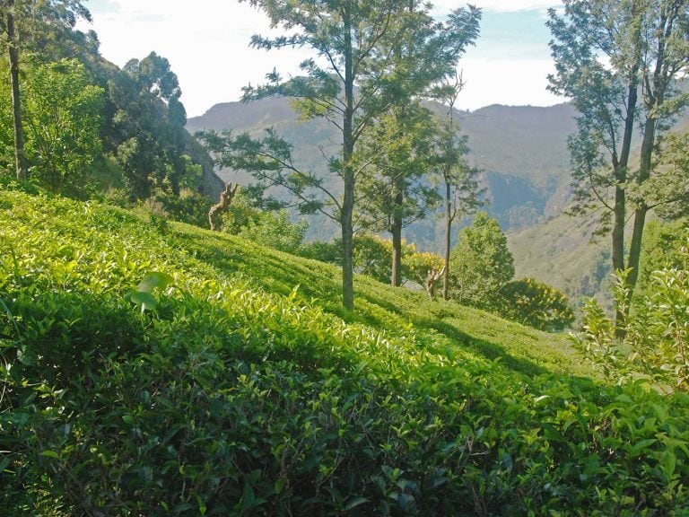 Hoogtepunten | Rama Tours