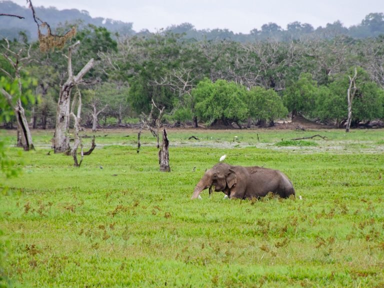 Hoogtepunten | Rama Tours